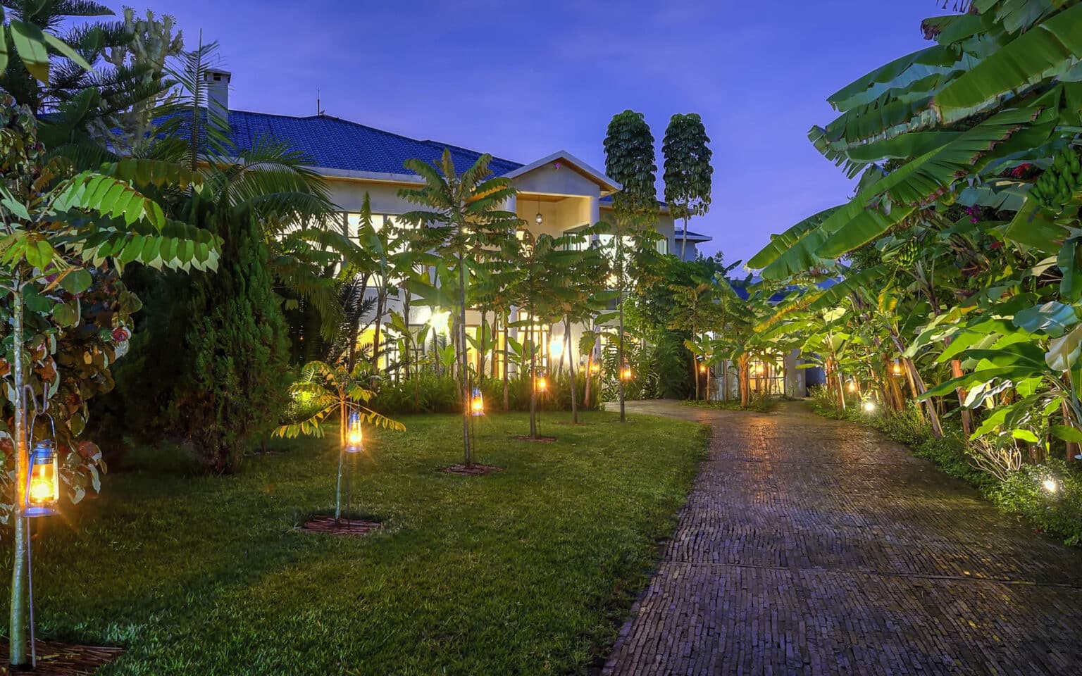 Nighttime garden path with ambient lighting and lush greenery