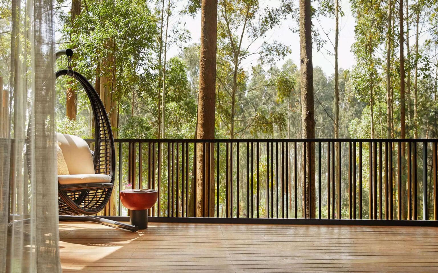 Forest view from balcony with hanging chair and sunlight