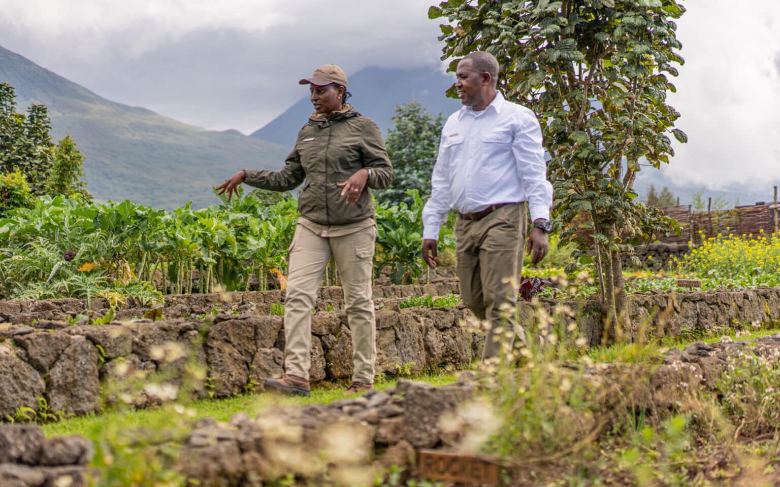Two people walking and discussing in a lush garden setting