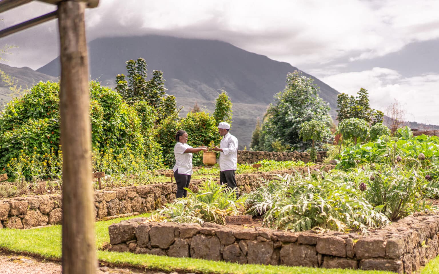 Chefs exchanging produce in lush mountain garden scene